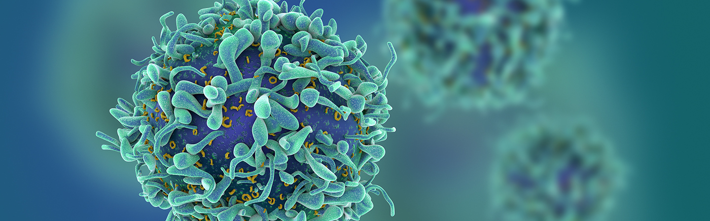 Cg render of t-cells or cancer cells