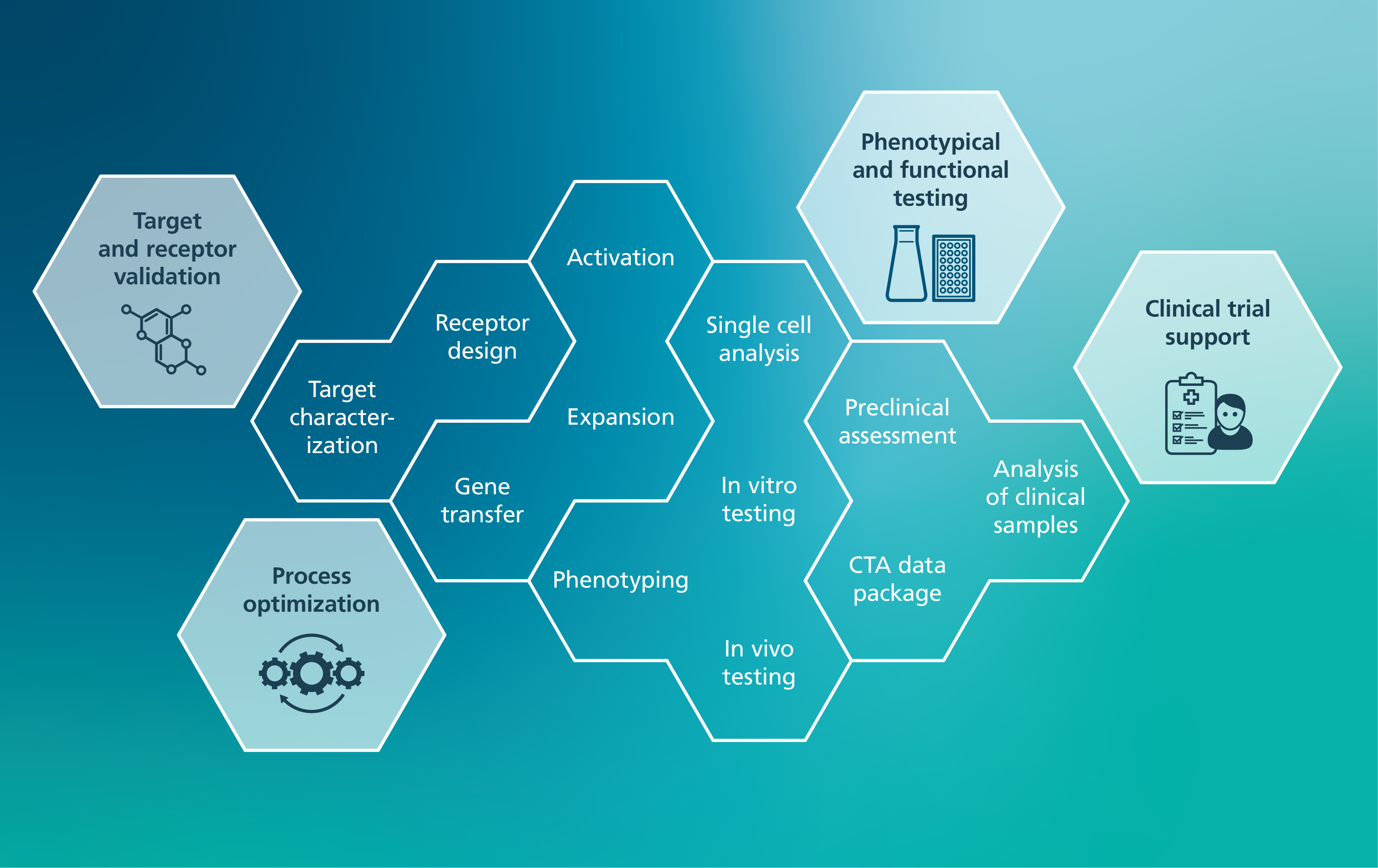Overview of the competences and services of the Department of Cellular Immunotheray