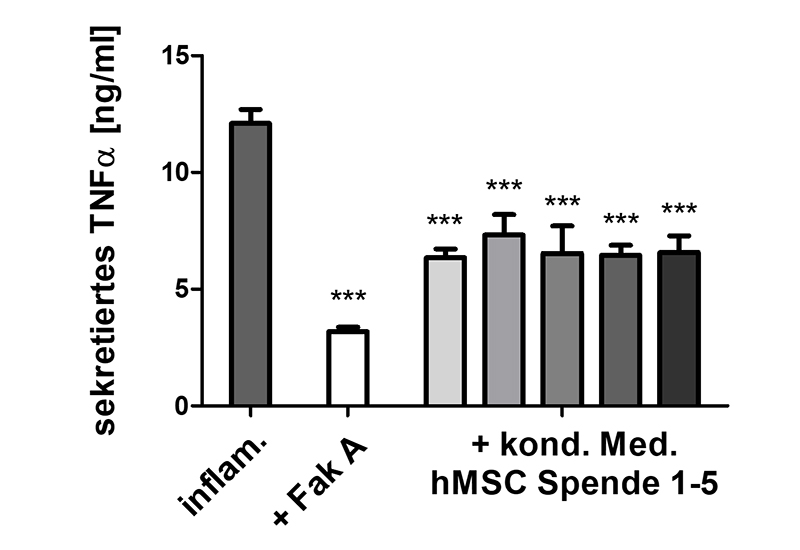 Inhibierung der Makrophagen-TNFα-Sekretion durch sekretorische Faktoren immun-aktivierter humaner mesenchymaler Stammzellen.