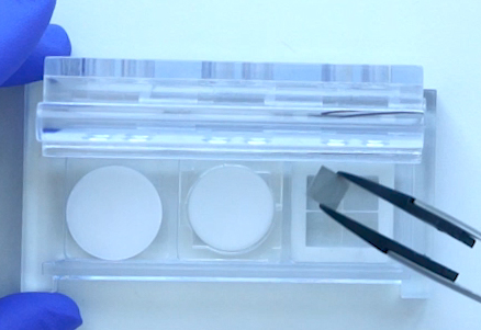 Prüfkörper in verschiedenen Dimensionen und Geometrien können untersucht werden. Beim Schließen des In-vitro-Testsystems werden standardisierte Oberflächen gebildet und wasserdicht verschlossen.