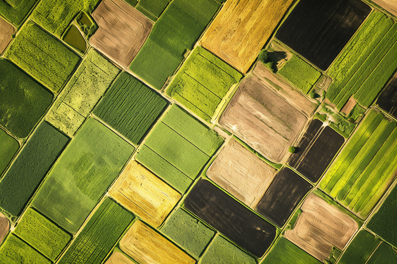 Luftaufnahme von Ackerland mit Feldern in verschiedenen Farben wie Grün, Braun und Gelb, die einen Patchwork-Effekt erzeugen