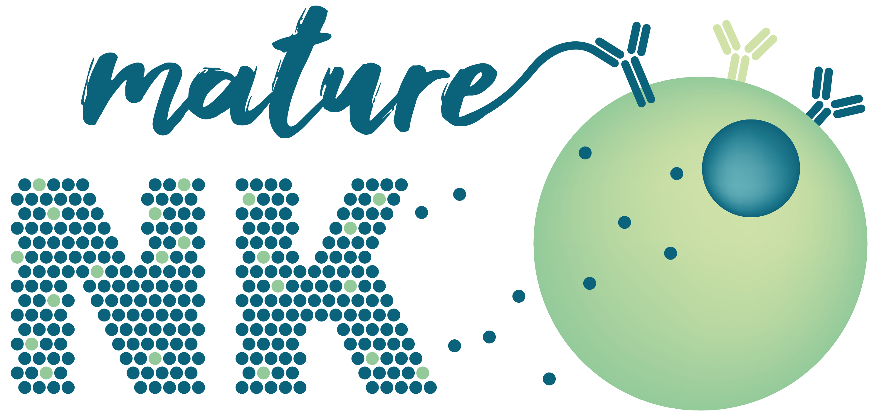 Logo Mature NK
