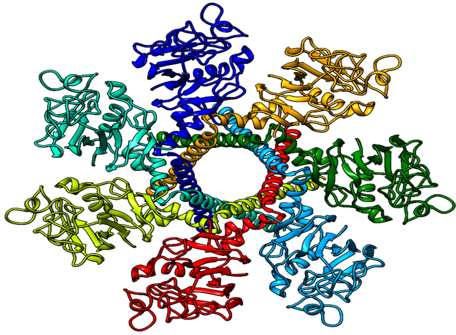Homologiemodell des chimären rekombinanten Fusionsproteins Ang1 mimetic.