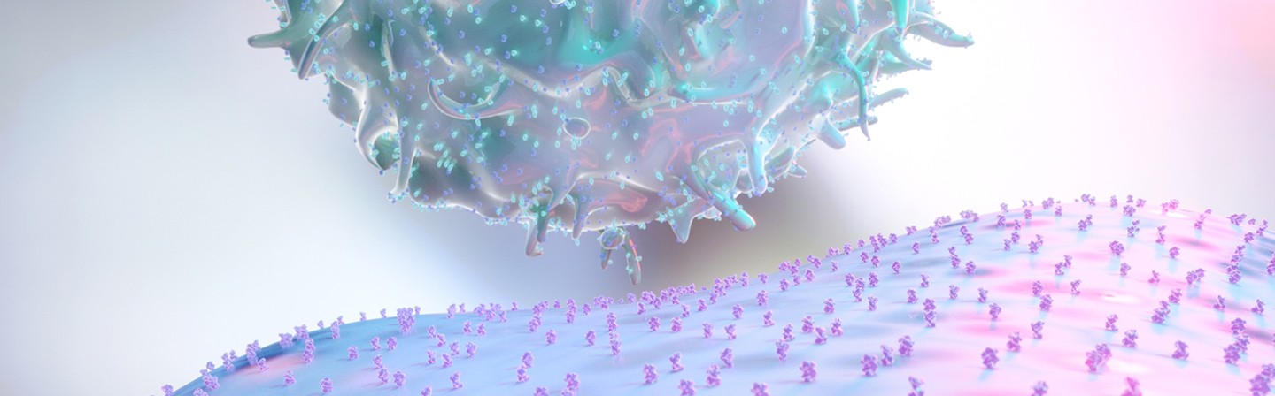 3D Rendering of NK Natural Killer Cell Inspecting Cell Surface MHC Proteins