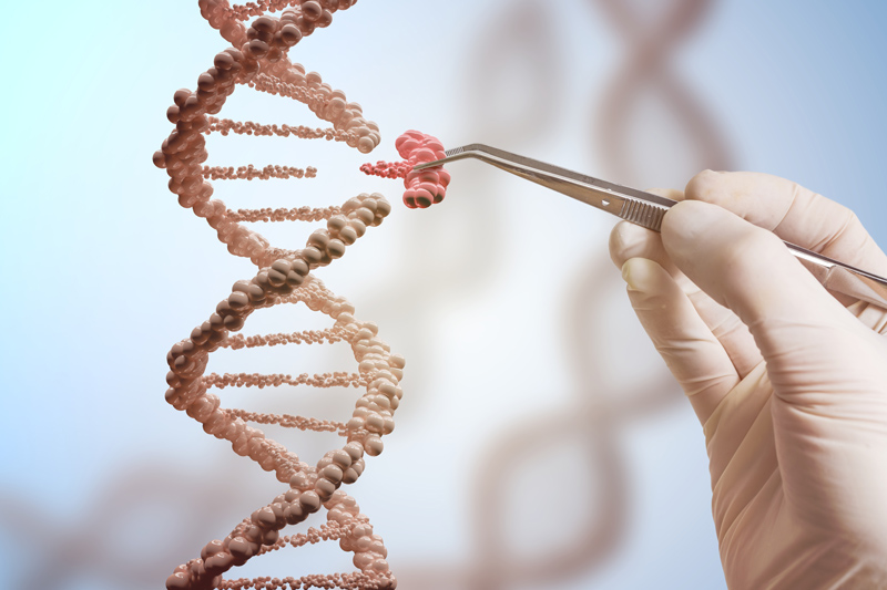 Konzept der Gentechnologie und Genmanipulation. Die Hand ersetzt einen Teil eines DNA-Moleküls.