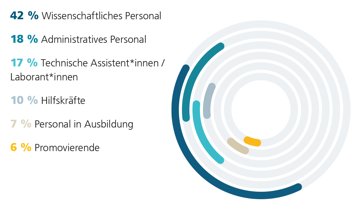 Diagramm: Fraunhofer IZI Mitarbeitende 2024 nach Berufsgruppen