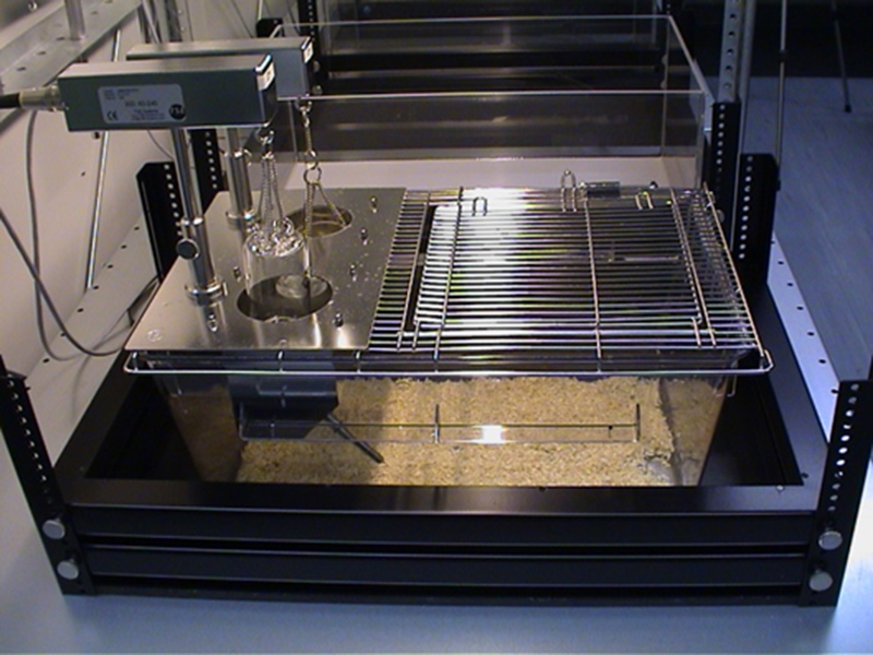 PhenoMaster (TSE Systems) is an automated home cage observation platform for locomotor activity and ingestion behavior. 1 of 8 cages of the system is depicted.