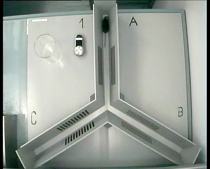 Set-up of Y-maze. 3 entry arms will be explored by test animal within the time frame of 10 min. Behavior is monitored by a video tracking system. Spontaneous alteration performance is calculated depending on arm entries with in the test period.