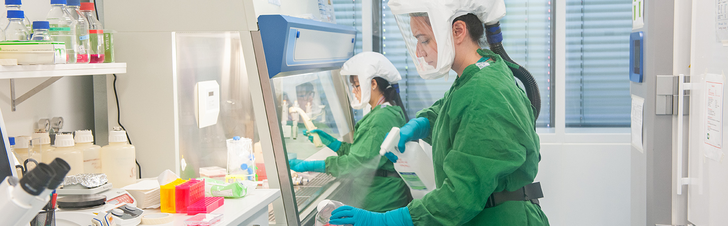 Fraunhofer IZI employees in S3 safety laboratory