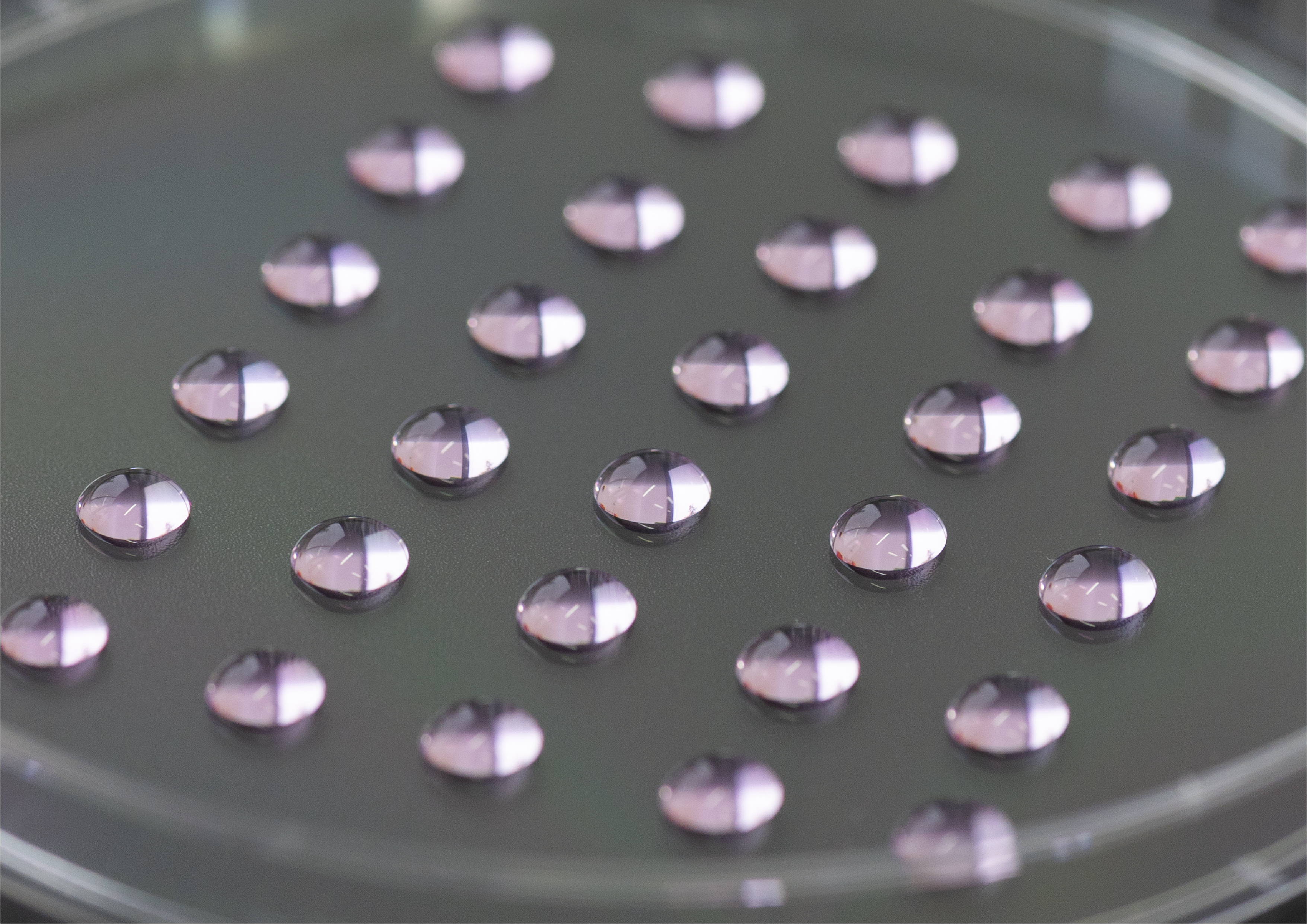 3D tissue models (hanging drop method) for functional testing of cell therapeutics