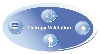Therapy Validation