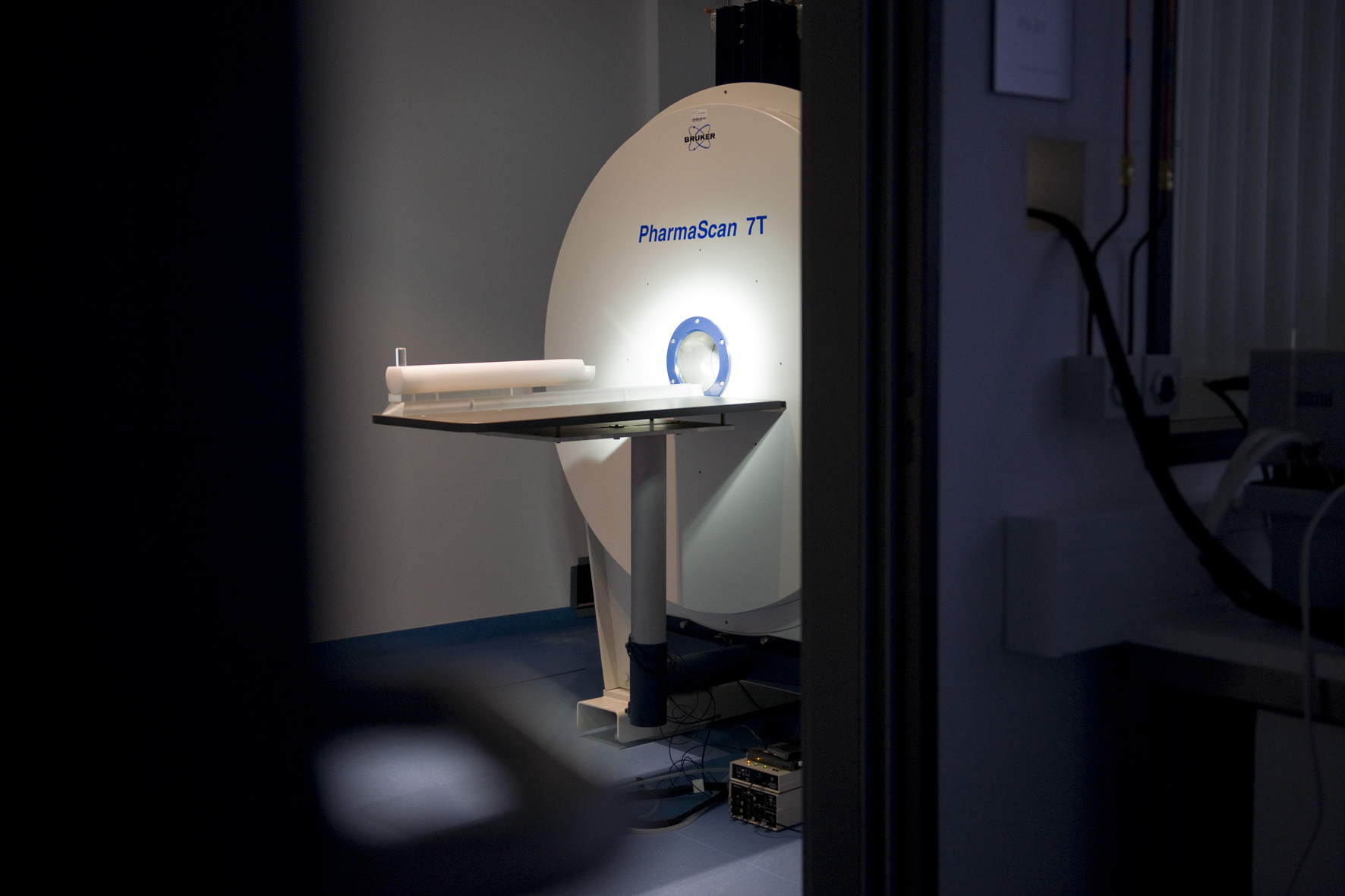 In the high-resolution 7T small-animal MRI of Fraunhofer IZI, the therapy concept could be proven and optimized. View on the high-resolution 7T small-animal MRI of Fraunhofer IZI.