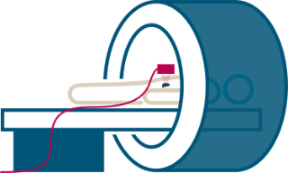 Schematic representation of the therapy concept. An MRI-compatible ultrasound transducer is positioned near the tissue to be irradiated and heats it to approx. 45°C; the position of the energy input and the resulting tissue temperature are monitored in the MRI.