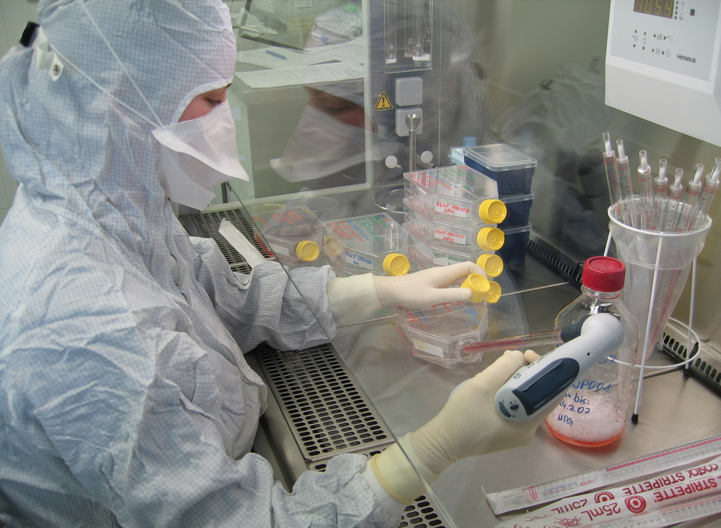 Manufacturing cell products at the Fraunhofer IZI´s clean room facilitiy.