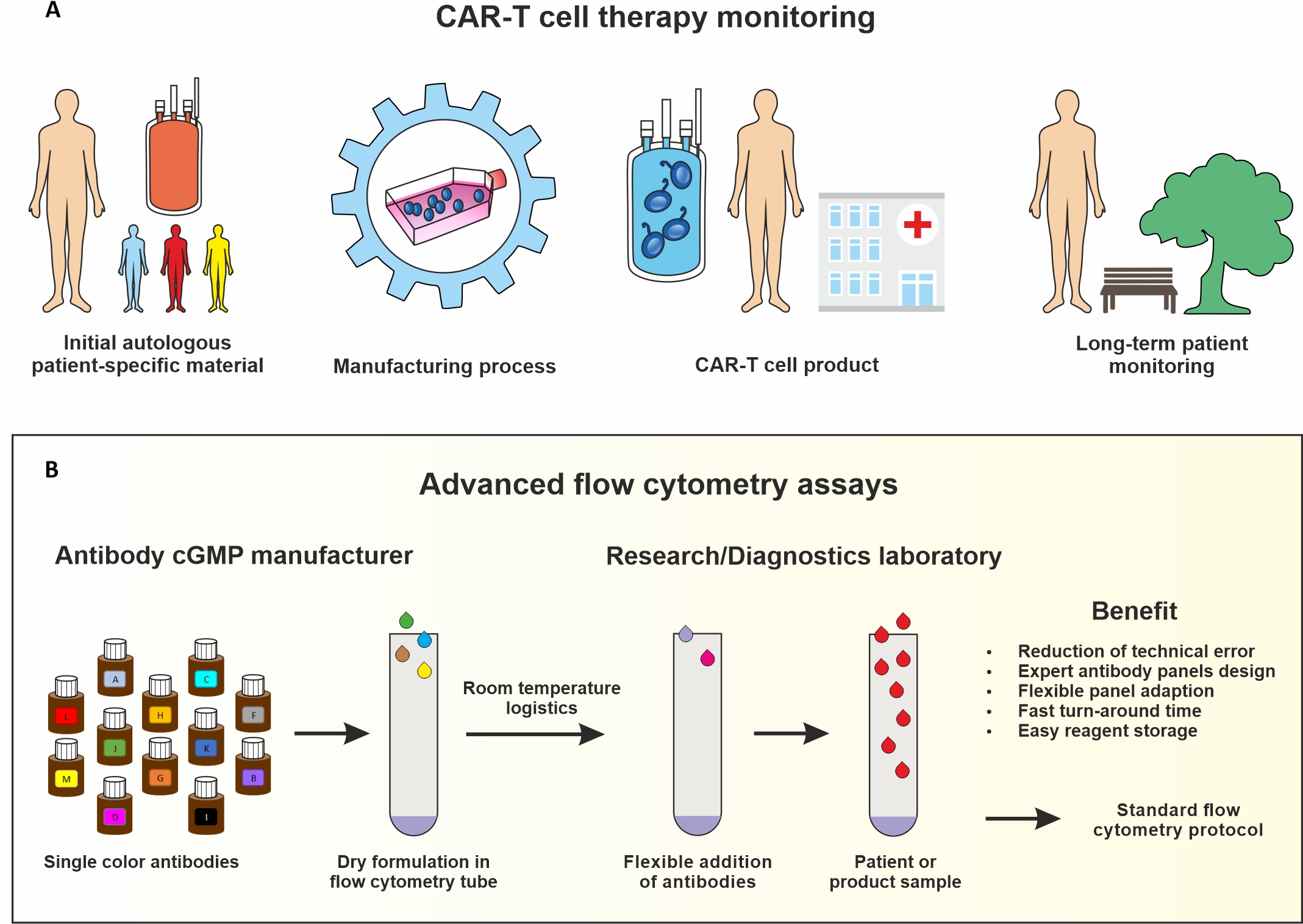 Schematic representation of monitoring CAR T cell therapies by flow cytometry