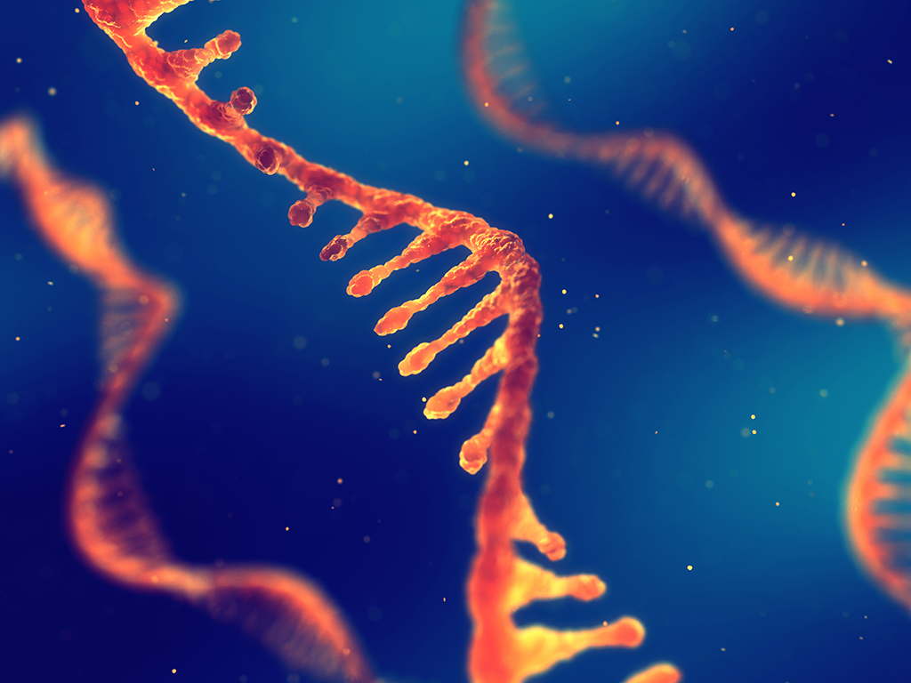 mRNA molecules can influence disease-relevant inflammatory mediators. In studies the suitability of viromers as carrier material has been proven. Single strand ribonucleic acid
